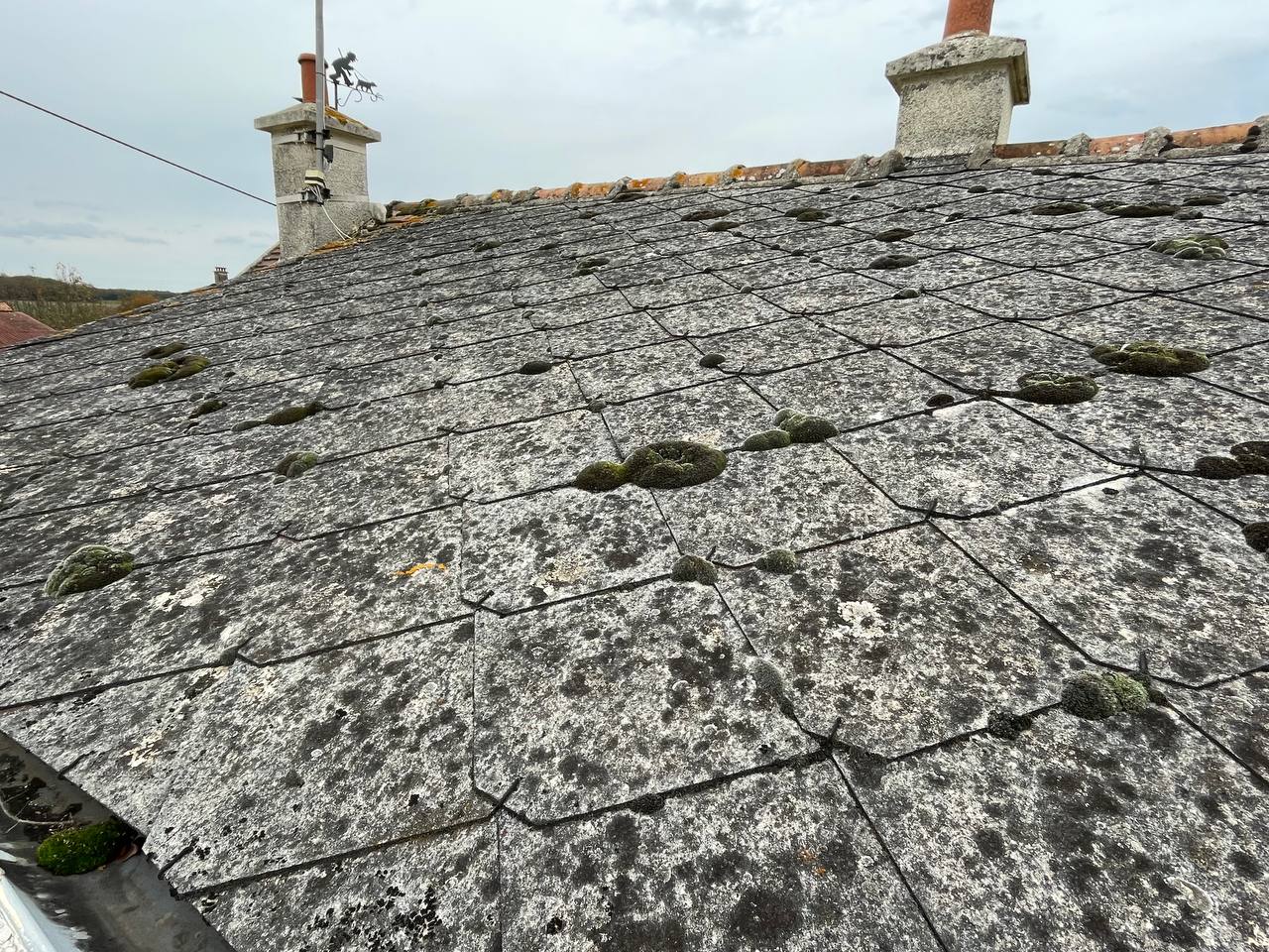 Toiture ardoise ancienne couverte de mousse et lichen