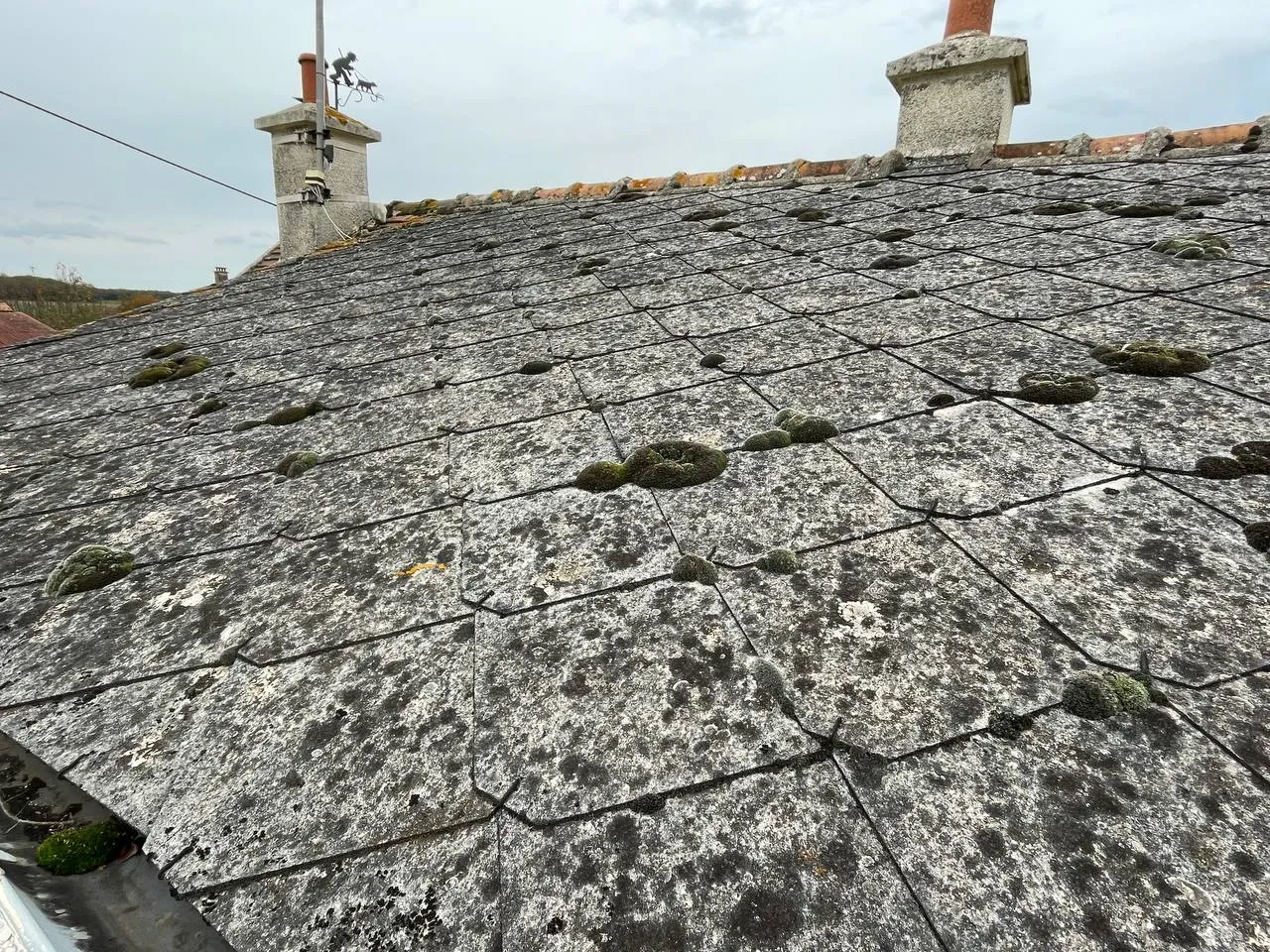 Toiture ardoise ancienne couverte de mousse et lichen